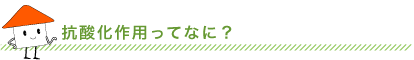 抗酸化作用ってなに？